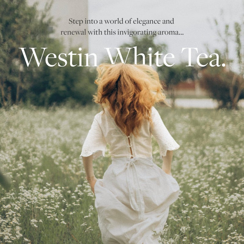 Westin White Tea Room Diffuser Refill - Signature White Tea Scent - Hotel Aroma Collection - Compatible Only with Westin Scent Machine - Refill Only - Image 4
